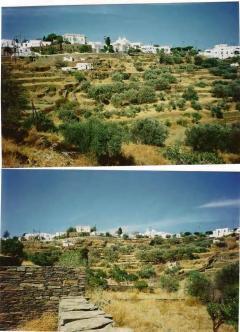 Sifnos 7200 sq mt in Apolonia Sifnos