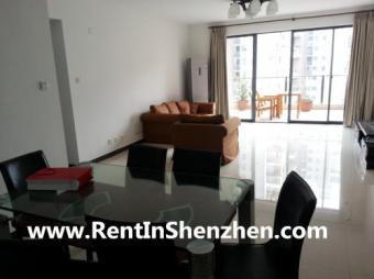 Shenzhen Apartment Rent/NanShan/ Shenzhen