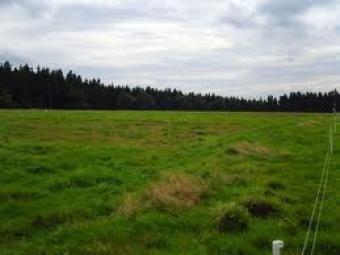 Plot For Sale D-12 Islamabad