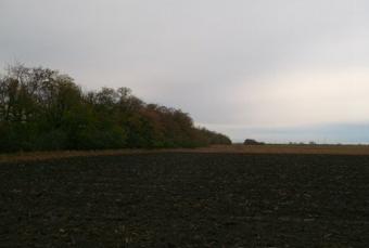 Arable Land 11 Ha (110000 m2) Dunajsk� Streda