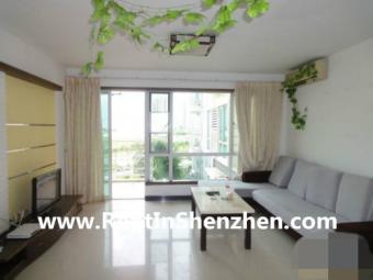 2011New Building/Near Shenzhen U Shenzhen