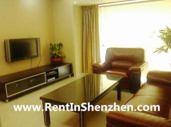 Near MixC,Shenzhen Luohu apartme Shenzhen