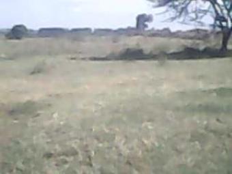 `kiserian`40acres 4 sale-1.5 p.a Nairobi