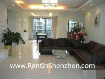 Shenzhen Apartment Rent/NanShan, Shenzhen