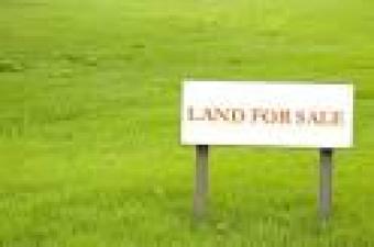 BEST AND GENIUNE LAND PROPERTY I Tiruvannamalai