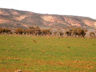 Australian Vacant Land - 46 Hec. Port Augusta