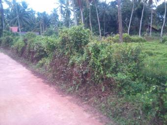 Land for Sale Gampaha Udugampala Gampaha