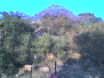 PLOT FOR SALE Polokwane
