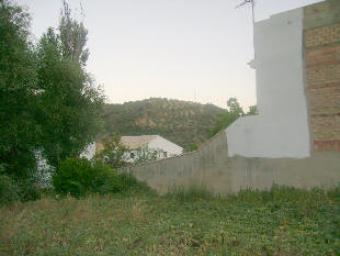 Urban Plot to build fp184 Algodonales