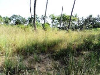 120 acre Dongo Kundu Mtwapa