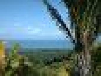  Mountain Lots for Sale La Ceiba