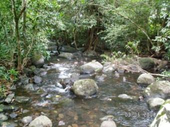 Beautiful land, Chiriqu� Rodeo Viejo
