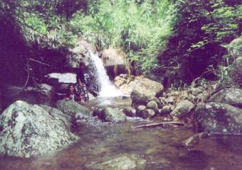 FOR SALE OR LEASE KOSLANDA (Uva Ga