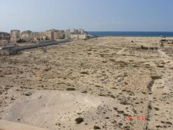 Unique land in Egypt Alexandria