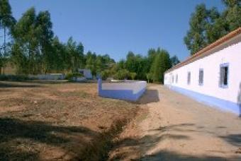 Small farm Torres Vedras