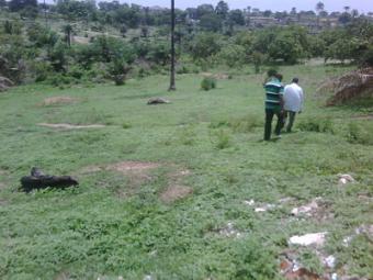 PROPERTIES FOR SALE AT ABUJA NIG Abuja