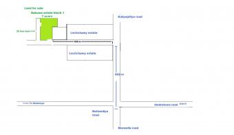 young coconut estate Nattandiya Nattandiya Town