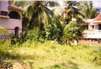 Plot for Sale in Vattiyoorkavu, Thiruvananthapuram