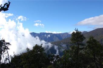 Lost at C.R rain forest Chirripo