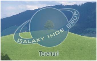 Teren (Land), Lacul Tei Bucuresti