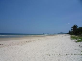 Land beach for sale Phi Phi Island