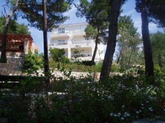 Atractive vila 30 m from the sea Island Solta