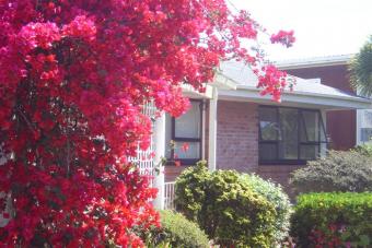 a peaceful 5 bedroom house Parkview Pl. Pakuranga.auckland