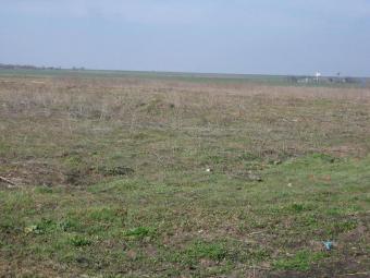 Dream Bulgarian Property Burgas