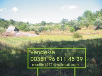 Property in Portugal Oliveira Do Hospital