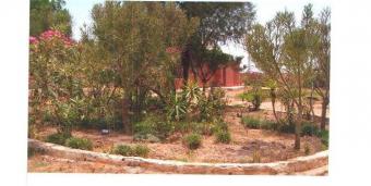 35Fedan . Country Club-Agri proj Al Fayyum