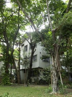 Selling Wood House at Chaing mai Chiang Mai