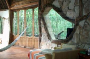 Jungle Eco-Living 3,000 sf $250k Tulum