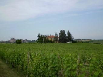 A Room With A Vineyard Rosignano Monferrato