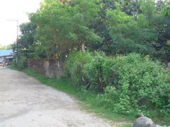 Lot For Sale In  Angeles City Pampanga