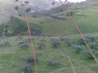 Land in Sicily - Cim� Cianciana
