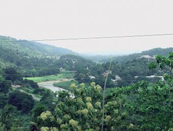 Land for sale in Kandy Kandy