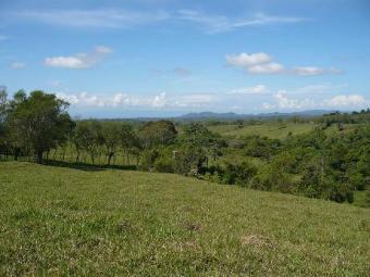 A One In A Kind Of Farm With Oce Santa Rosa