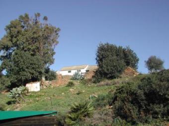 Fantastic opportunity Costa Del Sol