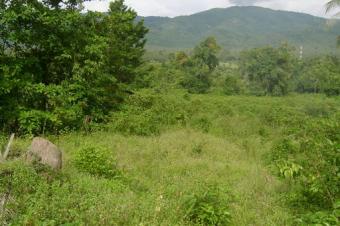 10 Plots of Land in Great Ningo Accra