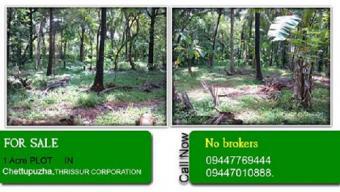 1 Acre PLOT FOR SALE IN THRISSUR Thrissur