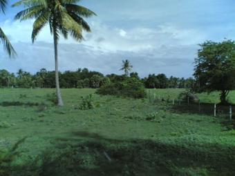 Land for sale in phanburi Phanburi