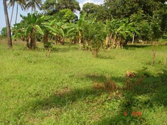 120 ACRES LAND MOMBASA Mtwapa, Mombasa