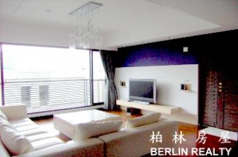 Luxury Apartment for Rent -8389 Taipei