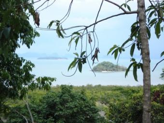 Great East Coast Sea View Land Ko Lanta Yai