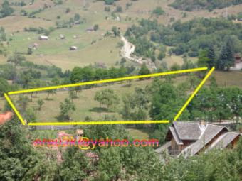 3276sqm for sale in Rucar Rucar