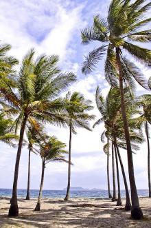 Beach Front Facing Apo Island Dumaguete City