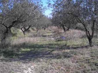 BUILDING PLOT IN MURO DE ALCOY Muro Del Alcoy