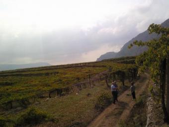 Land in Lebanon,Aley Aaley