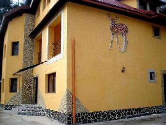 Villa in Baia Mare 455100