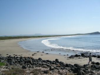 Playa Carey Beach Front Mazatlan